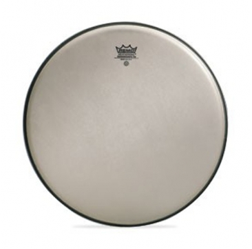 Parche Remo Renaissance Ambasador 14"