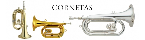 Cornetas y Accesorios